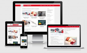 Hompage für Elektroservice, Hamburg